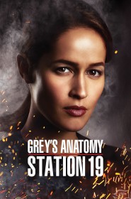 Serie Grey's Anatomy : Station 19 en streaming