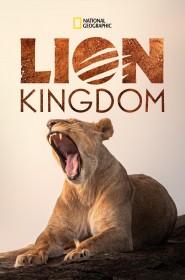 Serie Lion Kingdom en streaming