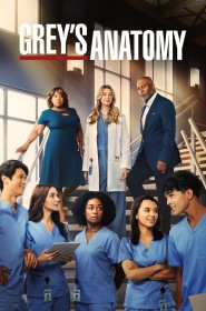 Serie Grey's Anatomy en streaming